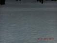 /album/cestou-k-lekari-30-12-2014/dscn6283-snih-v-parku-na-havlickove-namesti-jpg/